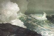 Winslow Homer Northeaster (mk44) china oil painting artist